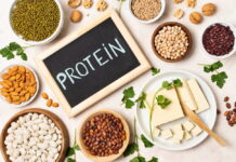 Collation protéinée : secrets, bienfaits et recettes pour dynamiser la journée Collation protéinée
