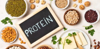 Collation protéinée : secrets, bienfaits et recettes pour dynamiser la journée Collation protéinée